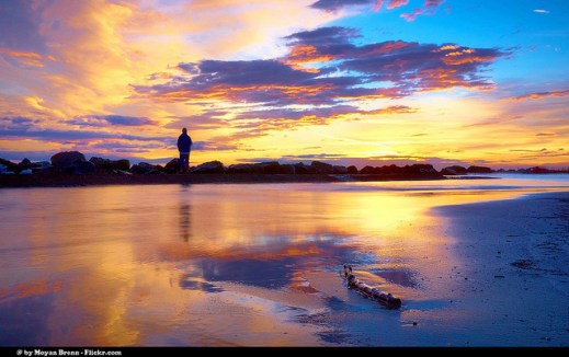 13026914033_d92fcaf0b0_z